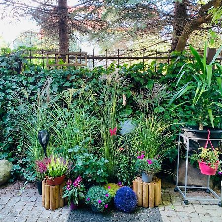 Uroczy Apartament Z Patio Szczecin Luaran gambar