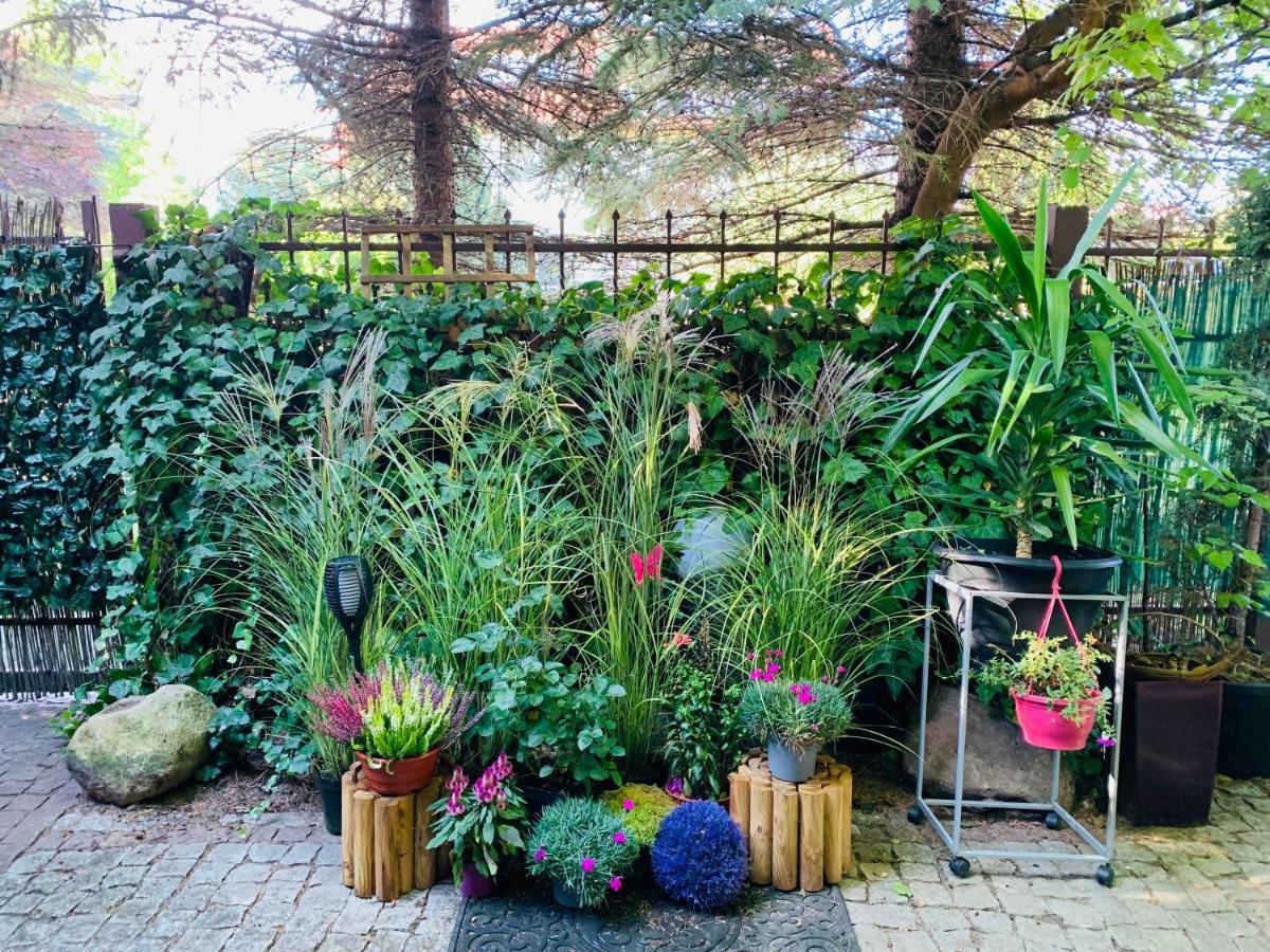 Uroczy Apartament Z Patio Szczecin Luaran gambar